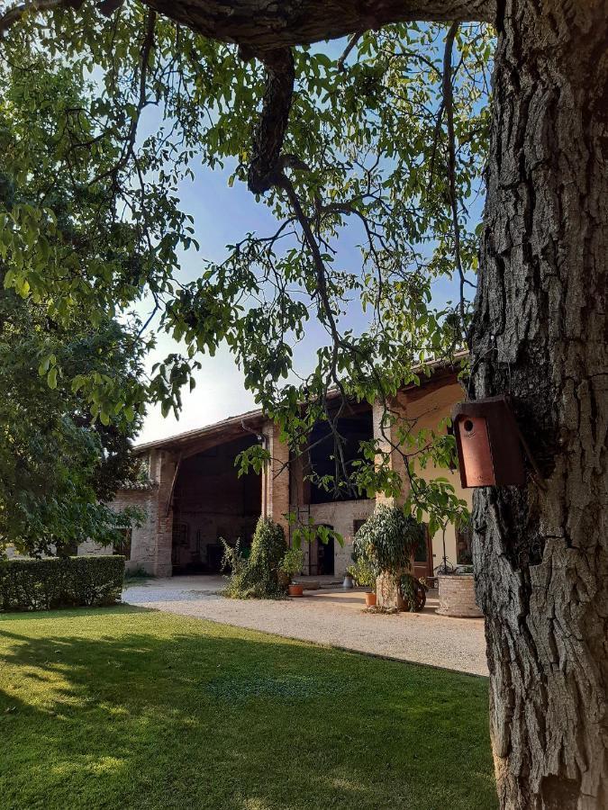 מונטיקיארי B&B Santa Cristina מראה חיצוני תמונה