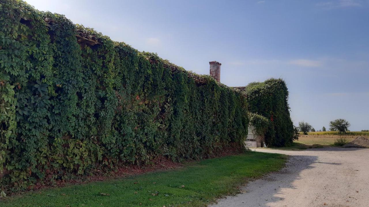 מונטיקיארי B&B Santa Cristina מראה חיצוני תמונה
