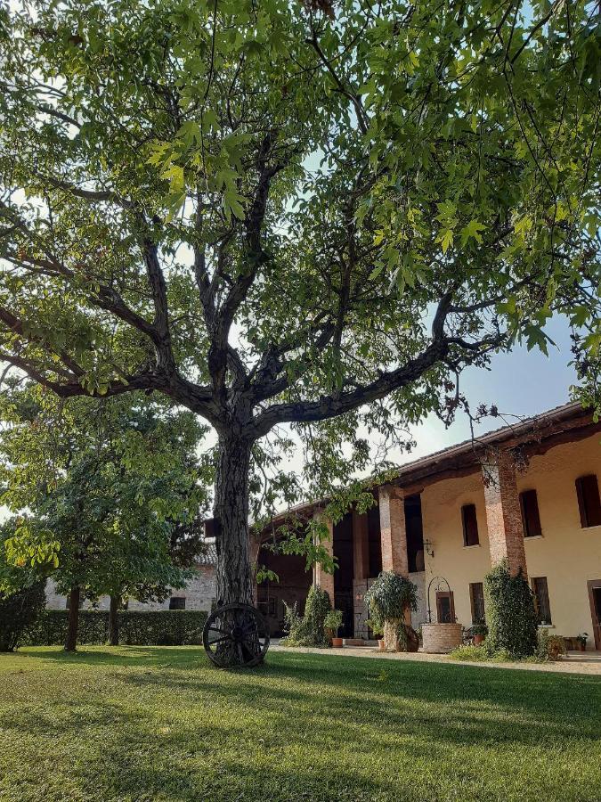 מונטיקיארי B&B Santa Cristina מראה חיצוני תמונה